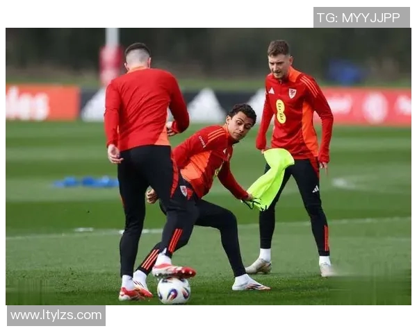 威尔士与比利时激战回顾精彩集锦尽显足球魅力与激情