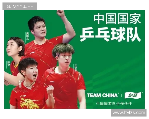 南京乒乓球队技术分析与发展探讨聚焦乒乓球运动的未来趋势与挑战