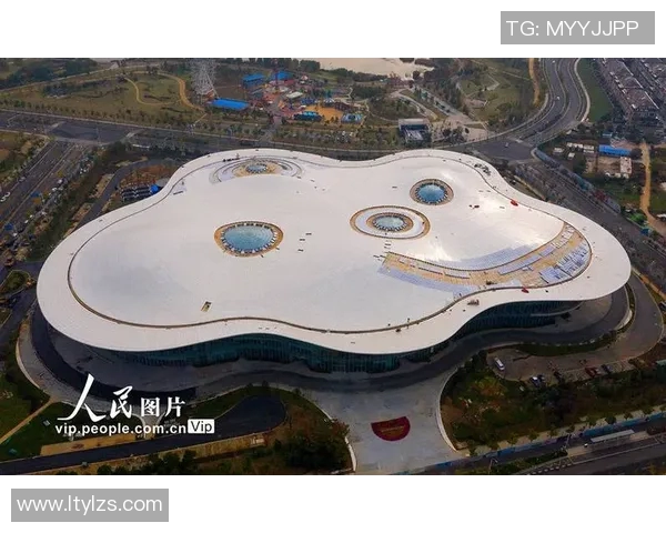 南京极限运动队引领最新极限运动技术十强榜单全景解析 南京极限运动队引领最新极限运动技术十强榜单全景解析