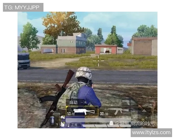 和平精英纪实：深度解析BLG战队的蜕变与成长历程