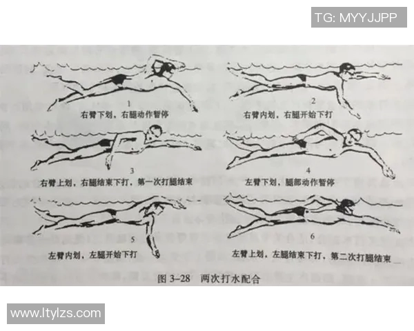 提升自由泳技巧的终极指南 从基础动作到高级训练全覆盖