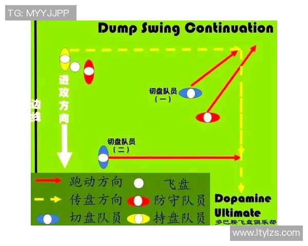 南京飞盘队的转换得失分析与战术调整探讨